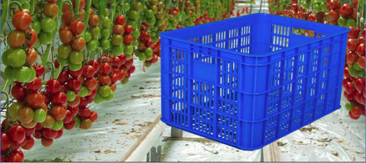 plastic crates